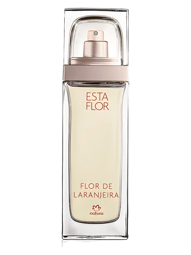 Natura Esta Flor Flor de Laranjeira