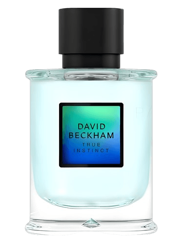 David Beckham David Beckham True Instinct