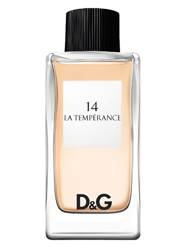 Dolce&Gabbana D&G Anthology La Temperance 14