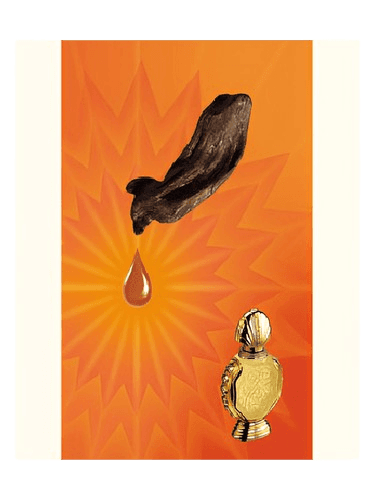 Rasasi Shatha Al Oudh