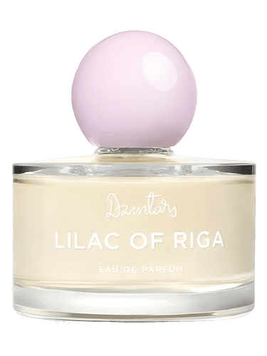 Dzintars Lilac of Riga (Рижская Сирень, 2022)