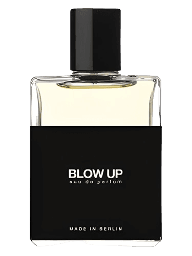 Moth and Rabbit Perfumes Blow Up