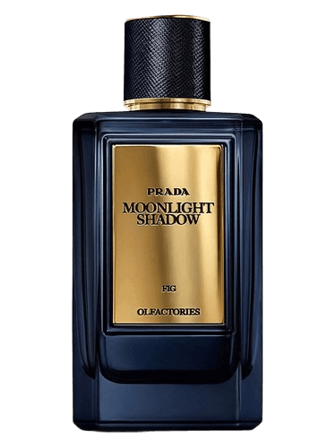 Prada Mirages Moonlight Shadow