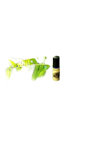 Solstice Scents Devil's Millhopper