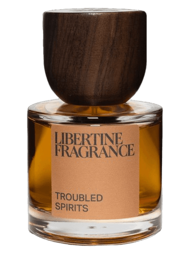 Paraphrase Troubled Spirits