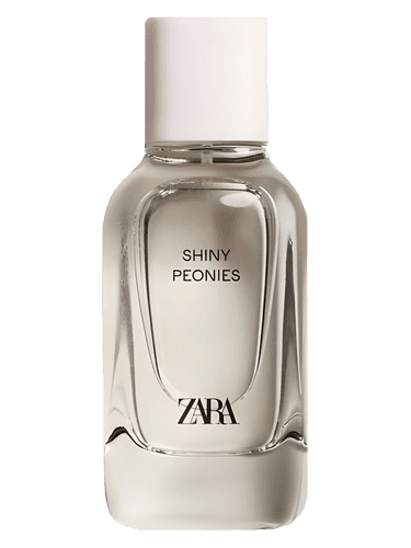 Zara Shiny Peonies