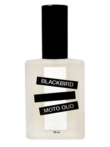 Blackbird Moto Oud