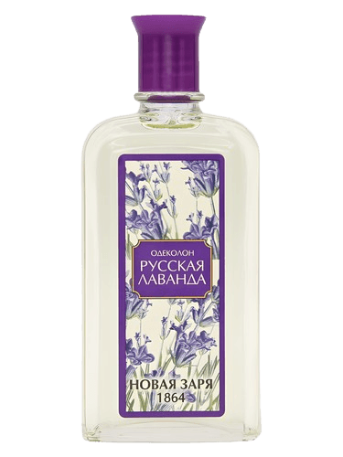 Новая Заря (The New Dawn) Русская Лаванда (Russian Lavender)