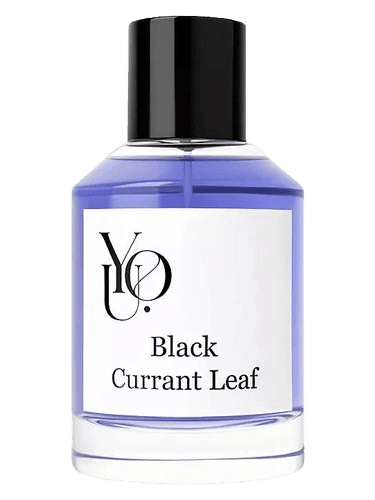 YOU Black Currant Leaf