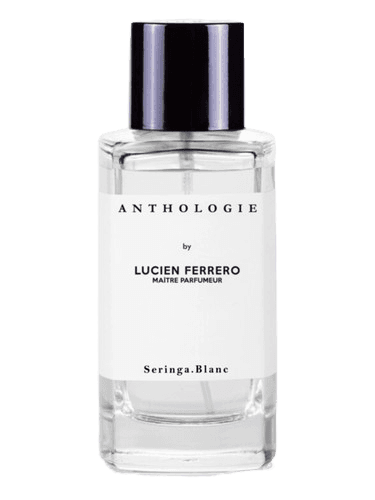 Anthologie Seringa Blanc