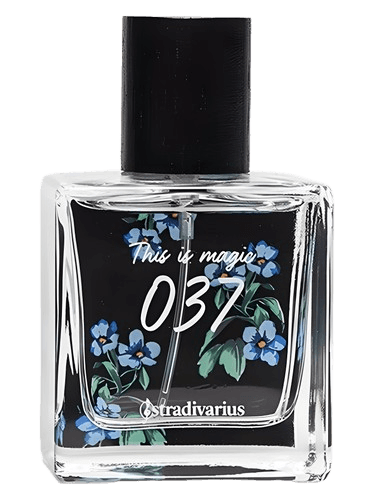 Stradivarius 037 This Is Magic