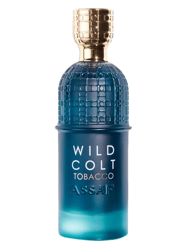 Assaf WILD COLT TOBACCO