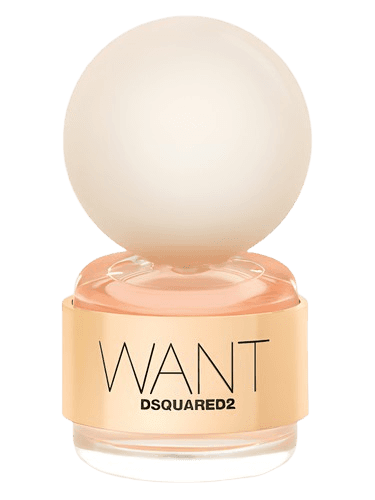 DSQUARED² Want