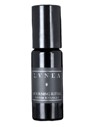 Lvnea Morning Ritual