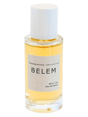 Clandestine Laboratories Belem