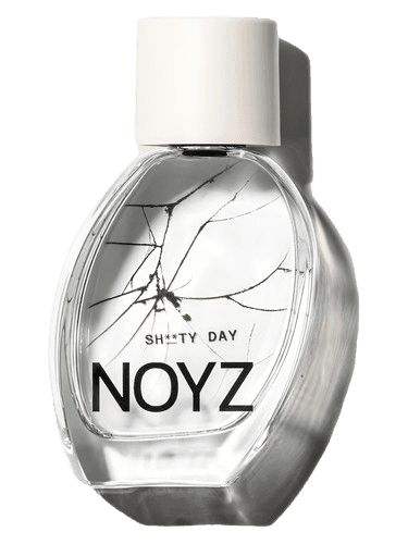 Noyz Sh**ty Day