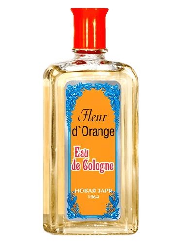 Новая Заря (The New Dawn) Fleur d’Orange (Цветок апельсина)