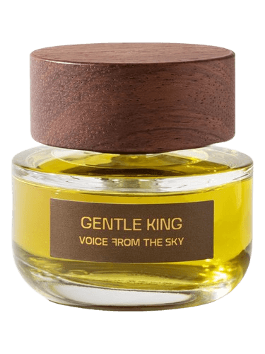 Voice From The Sky Gentle King