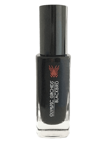 Olympic Orchids Artisan Perfumes Blackbird