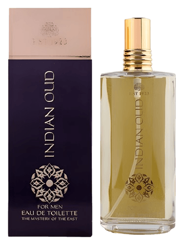 Eyüp Sabri Tuncer Indian Oud