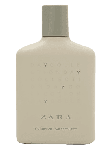 Zara Y Collection
