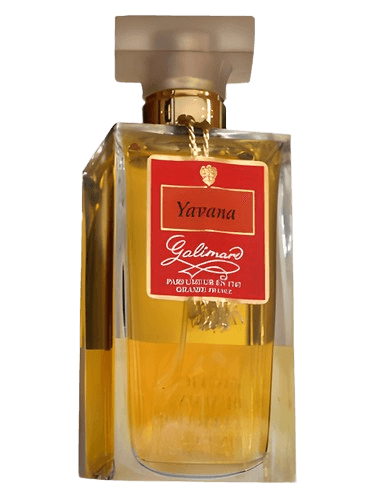Galimard Yavana