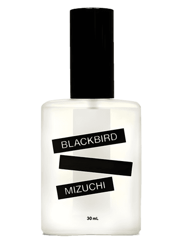 Blackbird Mizuchi