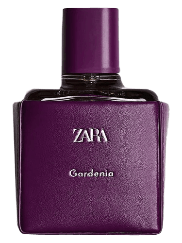Zara Gardenia 2021