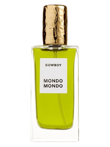 Mondo Mondo Cowboy