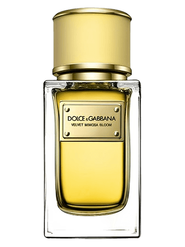 Dolce&Gabbana Velvet Mimosa Bloom
