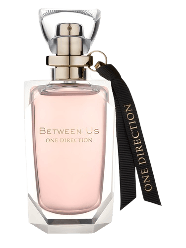 One Direction Between Us