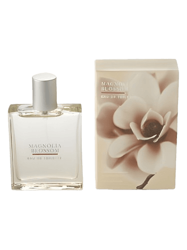 Bath & Body Works Magnolia Blossom
