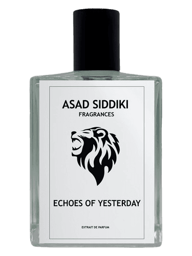 Asad Siddiki Echoes of Yesterday