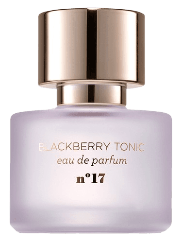 Mix:Bar Blackberry Tonic