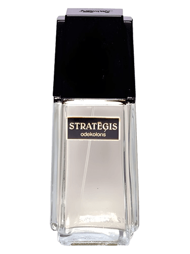 Dzintars Strategis