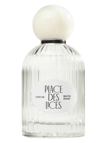 Place des Lices White Daisy
