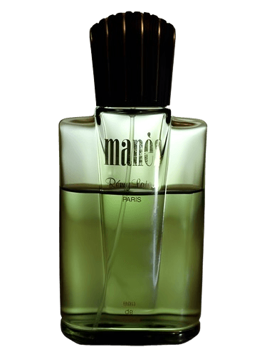 Rémy Latour Manès
