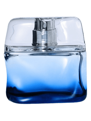 Nicole Farhi Bleu Intense