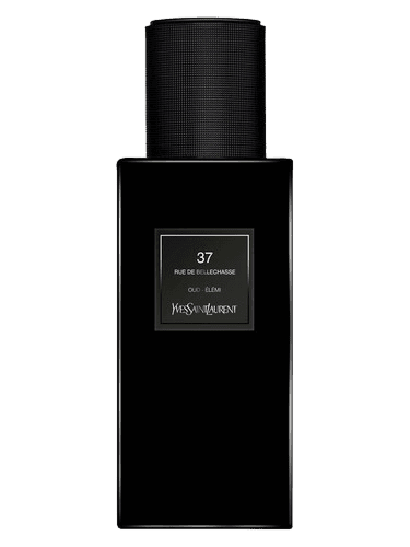 Yves Saint Laurent 37 rue de Bellechasse
