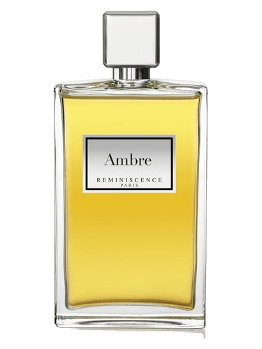 Reminiscence Ambre