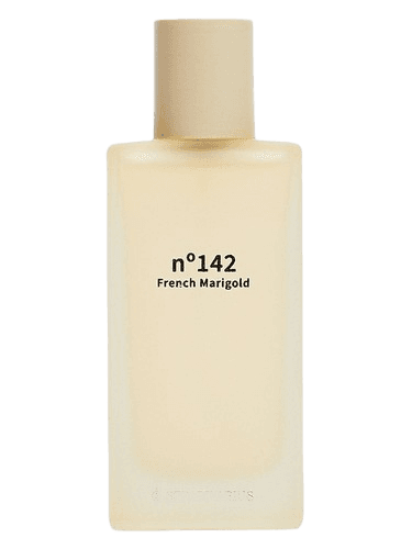 Stradivarius Nᵒ 142 French Marigold