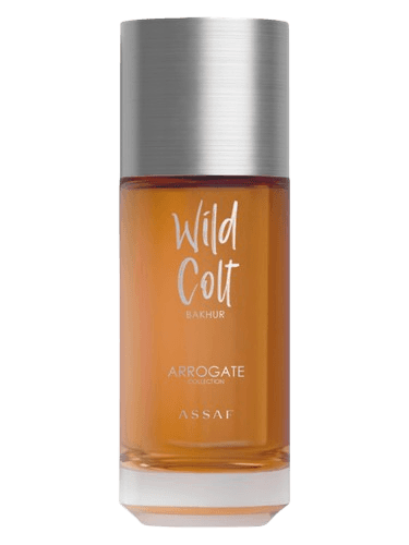 Assaf Wild Colt Bakhur