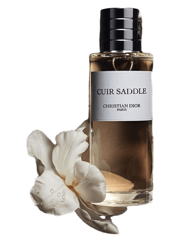 Dior Cuir Saddle