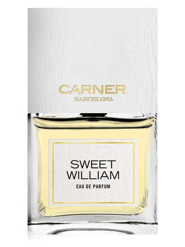Carner Barcelona Sweet William