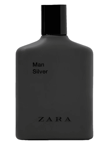 Zara Man Silver