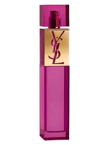 Yves Saint Laurent Elle