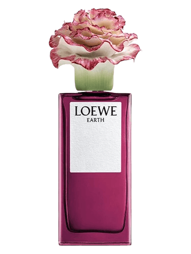 Loewe Earth x Lladró