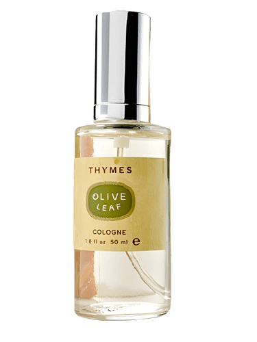 Thymes Olive Leaf