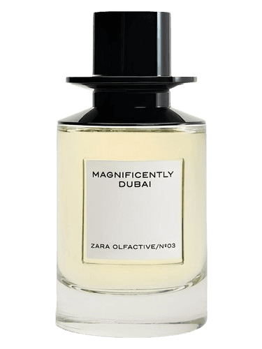 Zara Magnificently Dubai