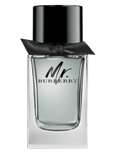 Burberry Mr. Burberry